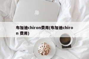 布加迪chiron费用(布加迪chiron 费用)
