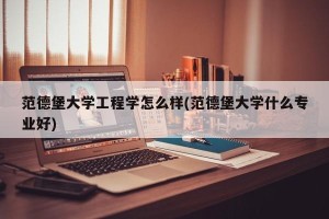 范德堡大学工程学怎么样(范德堡大学什么专业好)