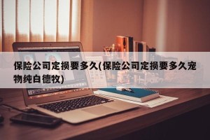 保险公司定损要多久(保险公司定损要多久宠物纯白德牧)