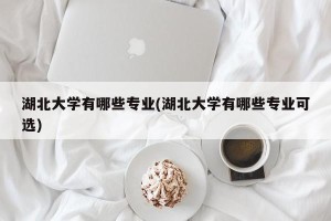 湖北大学有哪些专业(湖北大学有哪些专业可选)